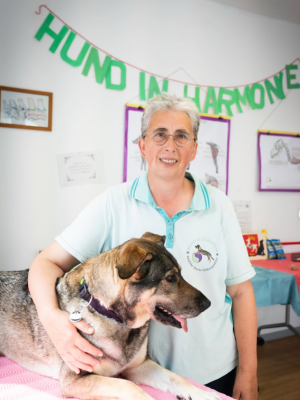 Stadtlabor Hund in Harmonie